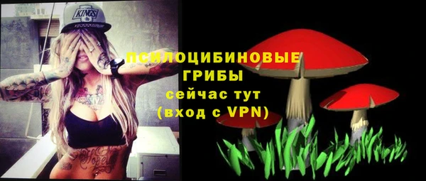 шишки Алексин