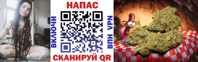 Бошки Шишки гибрид Егорьевск